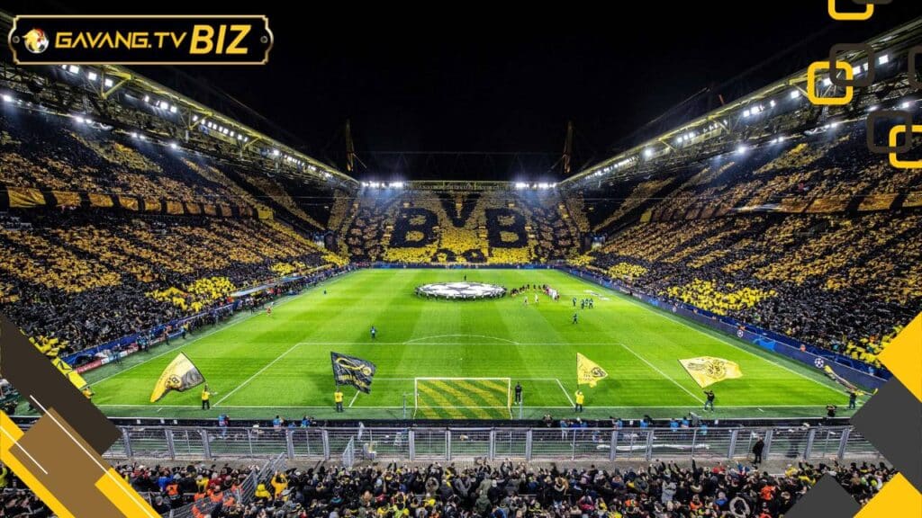 SVĐ Signal Iduna Park Gà Vàng TV