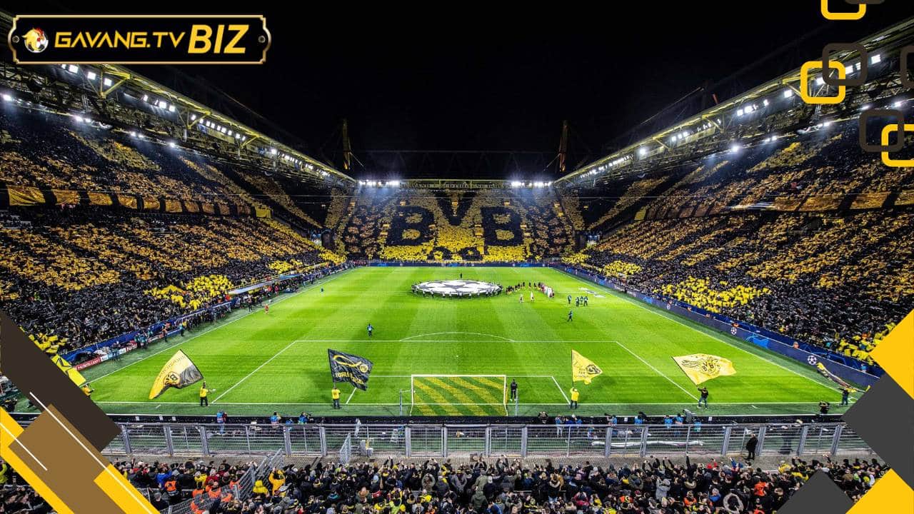 SVĐ Signal Iduna Park Gà Vàng TV